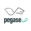 pegase pegase